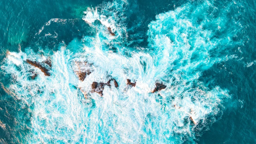 a bird's eye view of several people swimming in the ocean