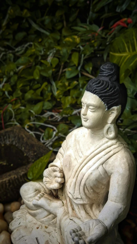 an image of buddha statue in front of plants