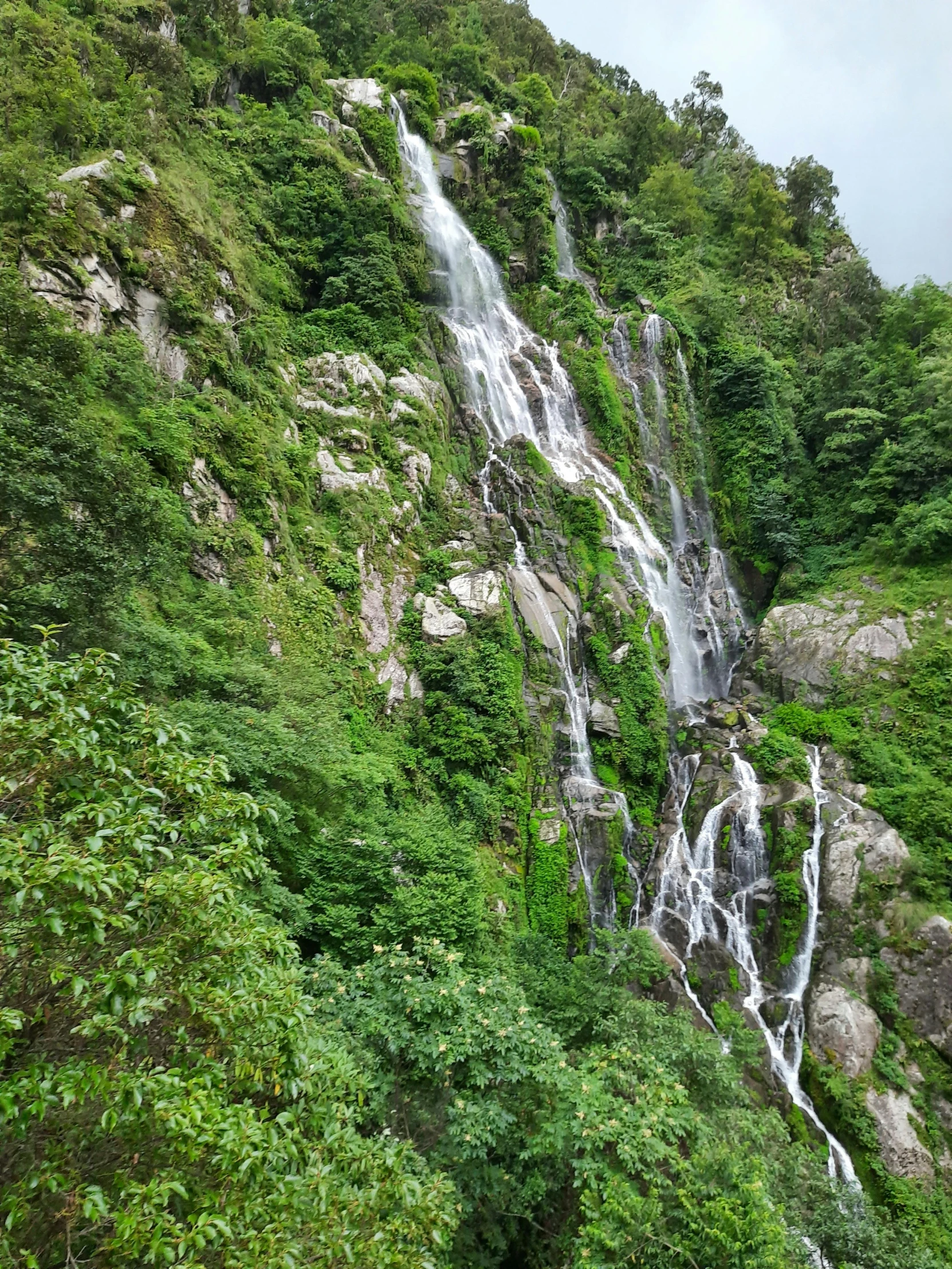 the trees are all around the waterfall