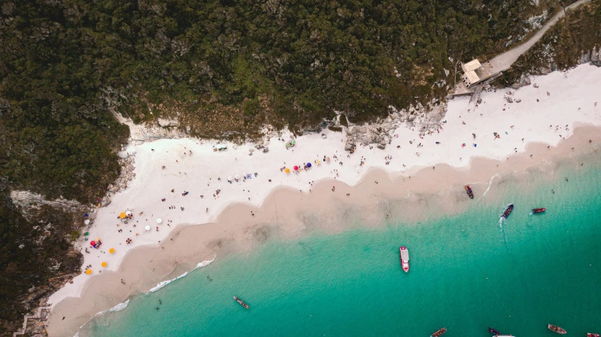 an aerial view of a beach, trees, and boats