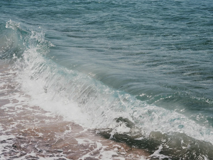 a person walking into the water near a wave