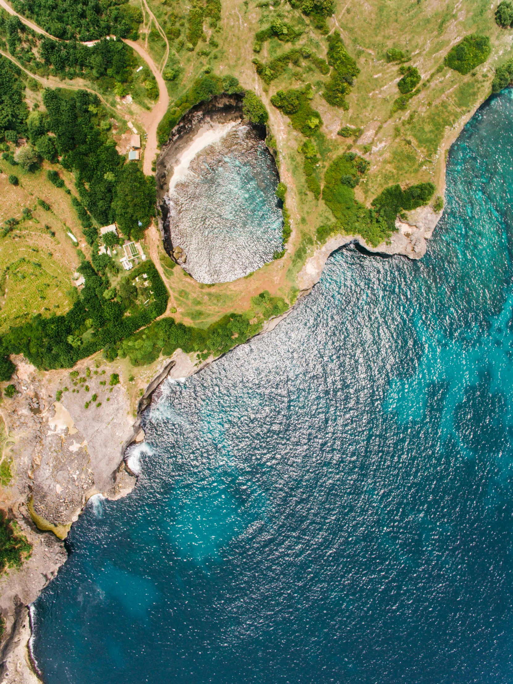 a grassy shoreline on a small island near a body of water