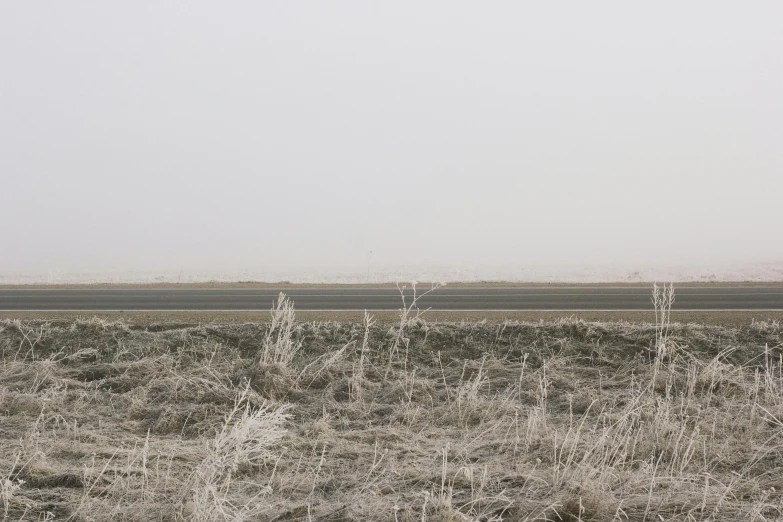 a lone tree in the middle of the desert