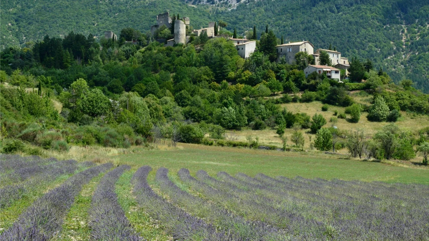 an old castle on a small hill surrounded by lavender fields