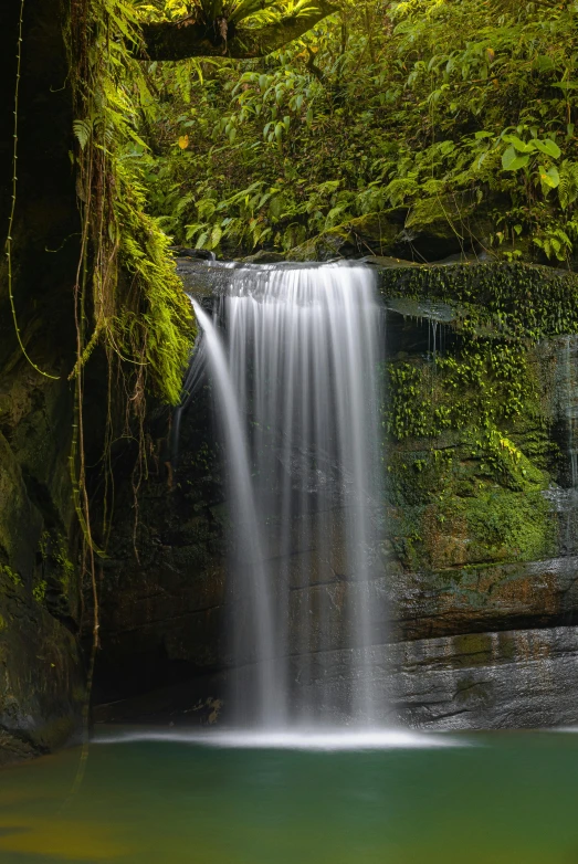 a small waterfall is surrounded by green foliage