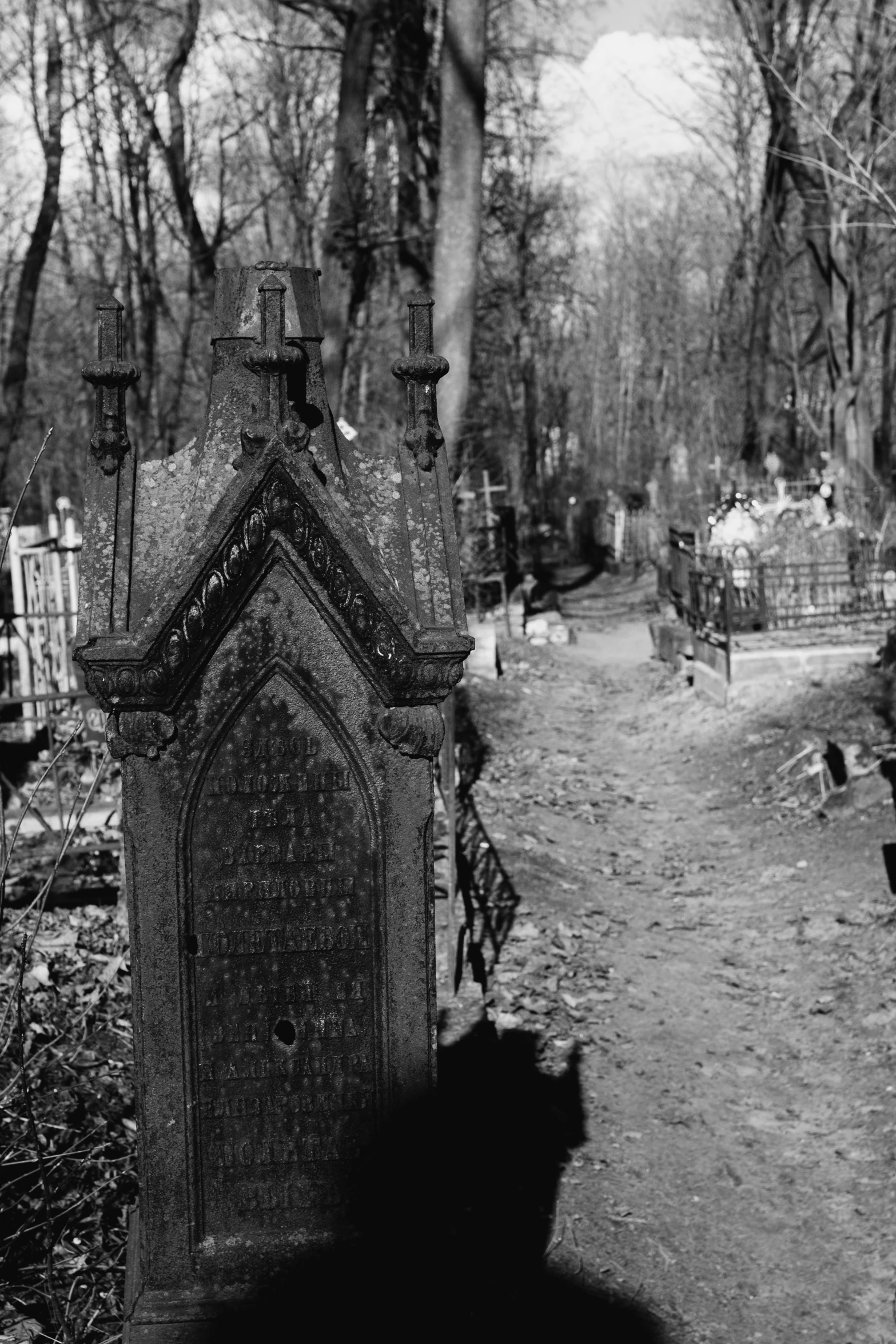 a black cat sitting in the shade of a cemetery