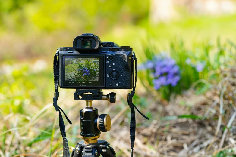 a camera is setting on a tripod to take a picture