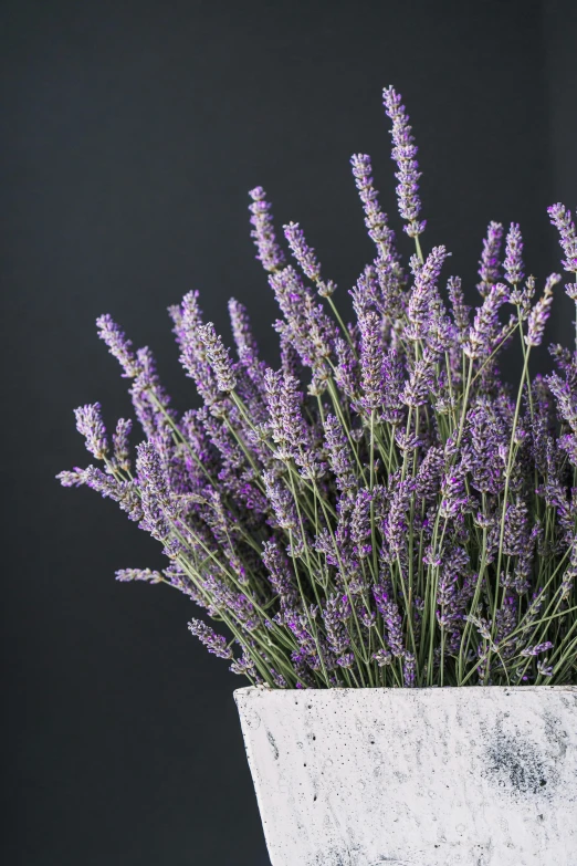 a close up of a flower vase with plants in it