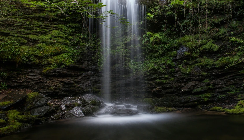 the water cascading at this waterfall is so strong that it has no leaves on it