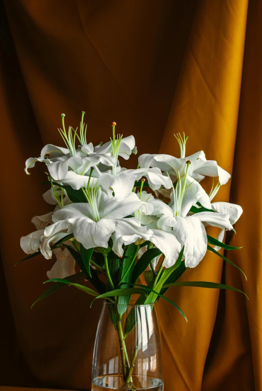 there is white flowers in a clear vase