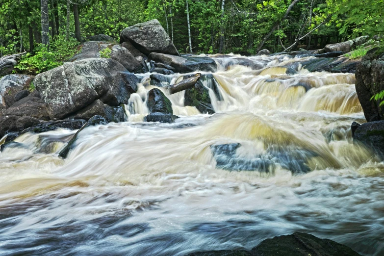 a river of white water running through a lush green forest