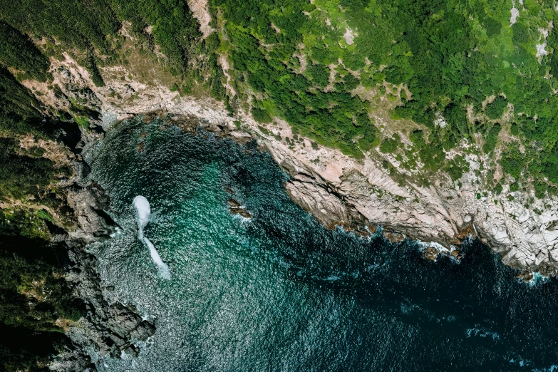 aerial pograph of an area in the coast