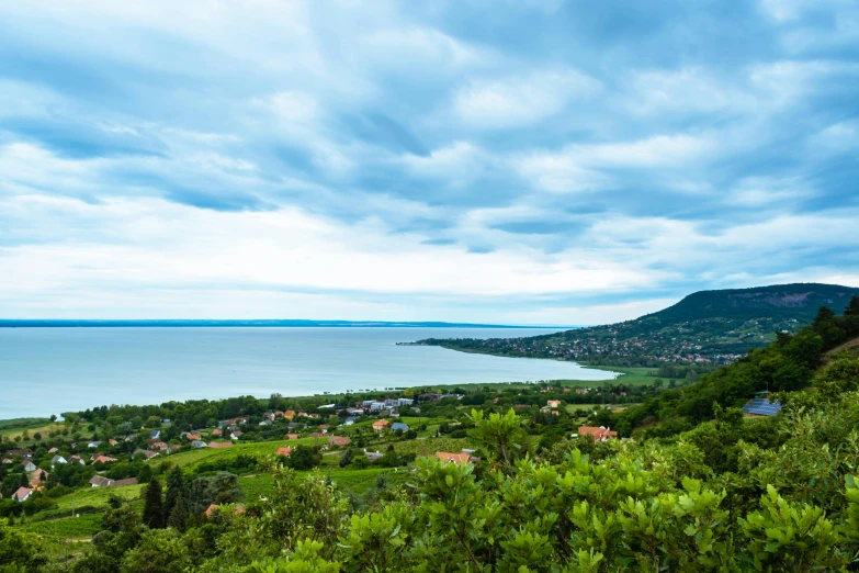 the trees on the hill have an overlook over the sea