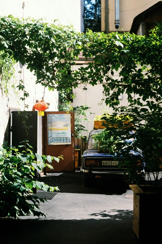 trees line the street and cars parked on it