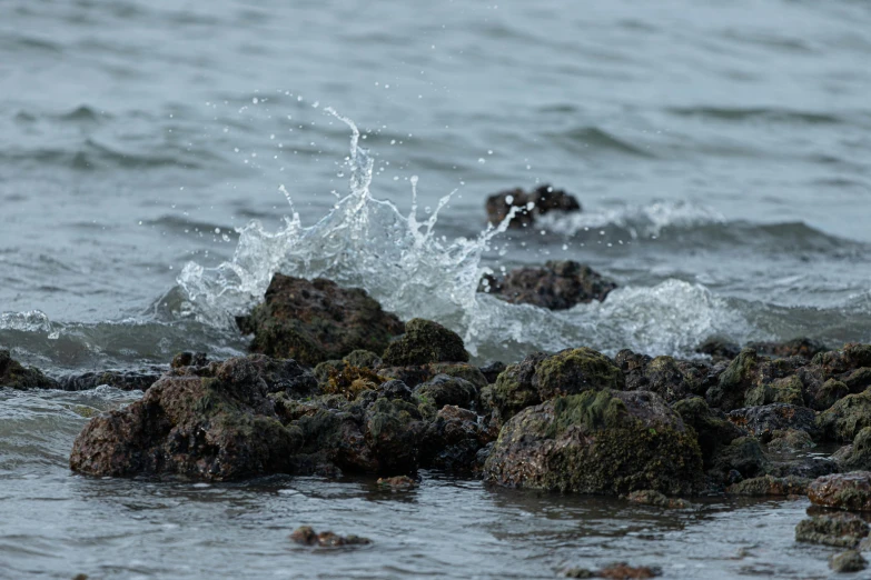 close up of rocks that are in the water with waves coming off it