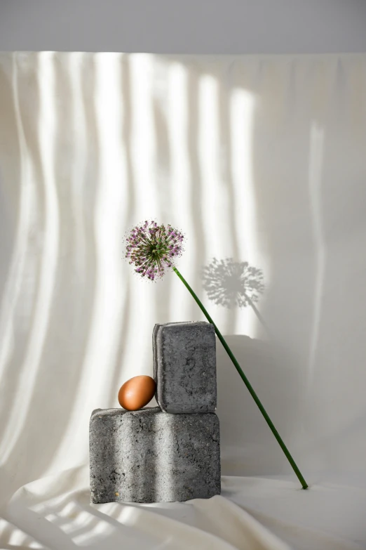 a flower and some food on a table