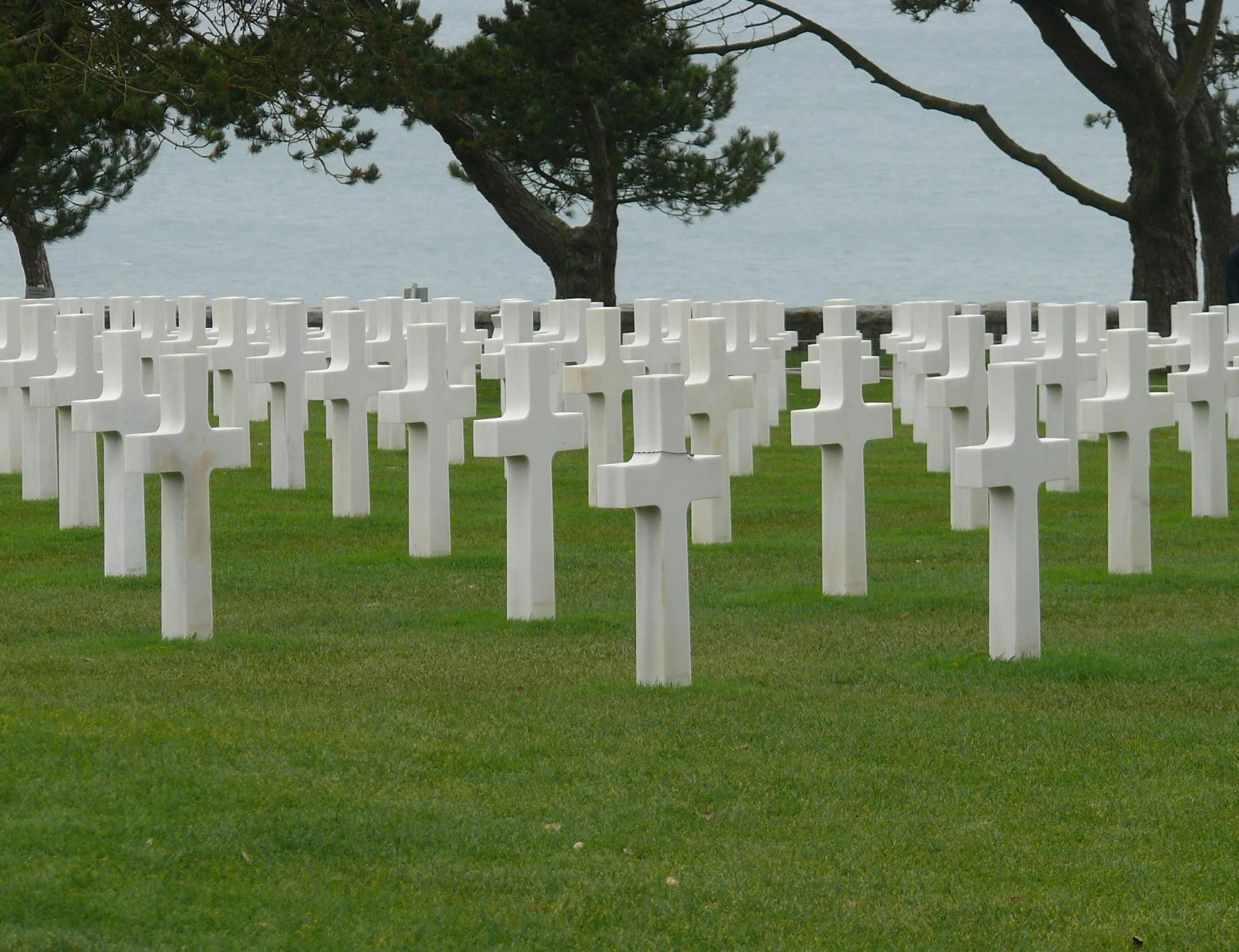 rows of white graves lined up on grass near trees