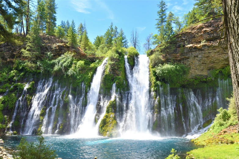 large waterfall towering over a lush forest in front of a lake