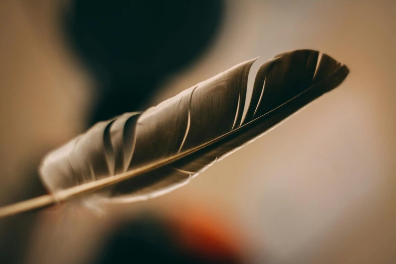 a small white feather floating in a vase