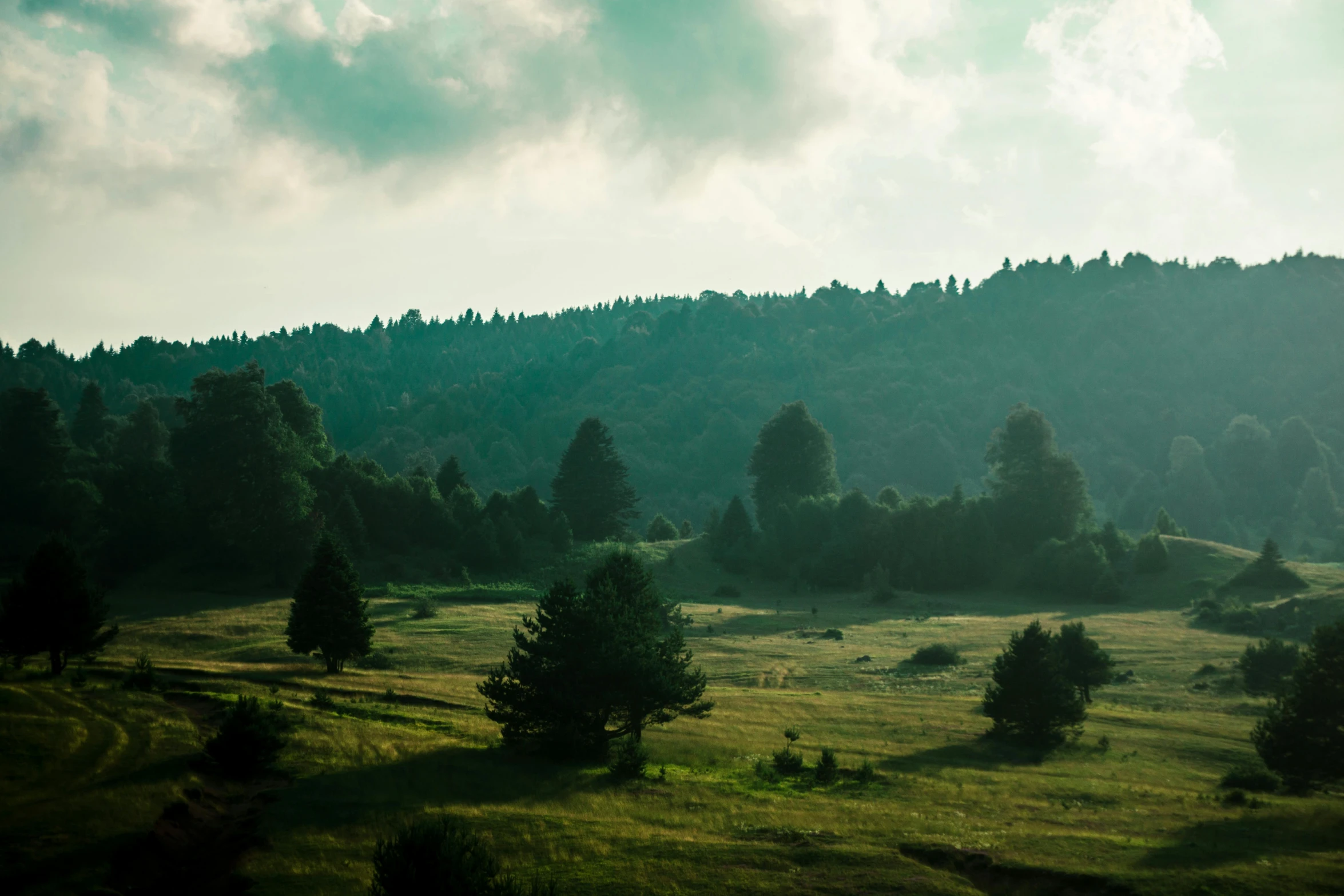 a beautiful mountain with lots of green trees on it