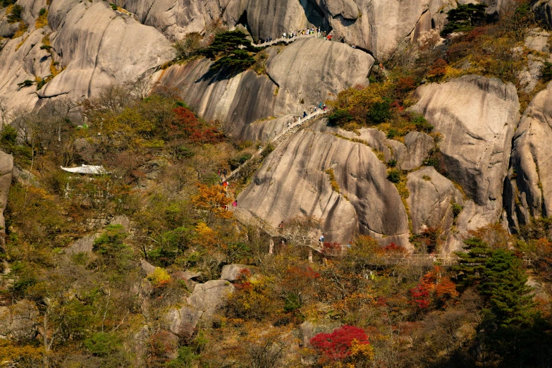 a mountain side has a road going between the rocks