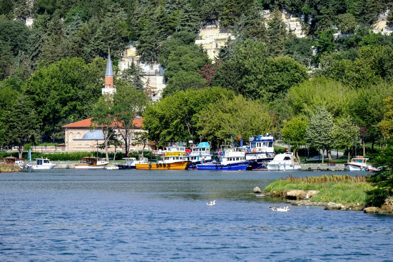 several boats are docked on the water by some trees