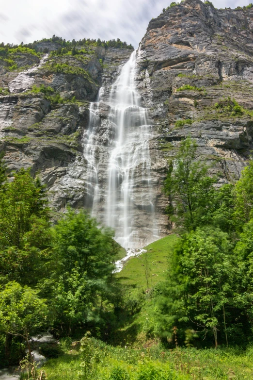 a waterfall and trees on a cloudy day