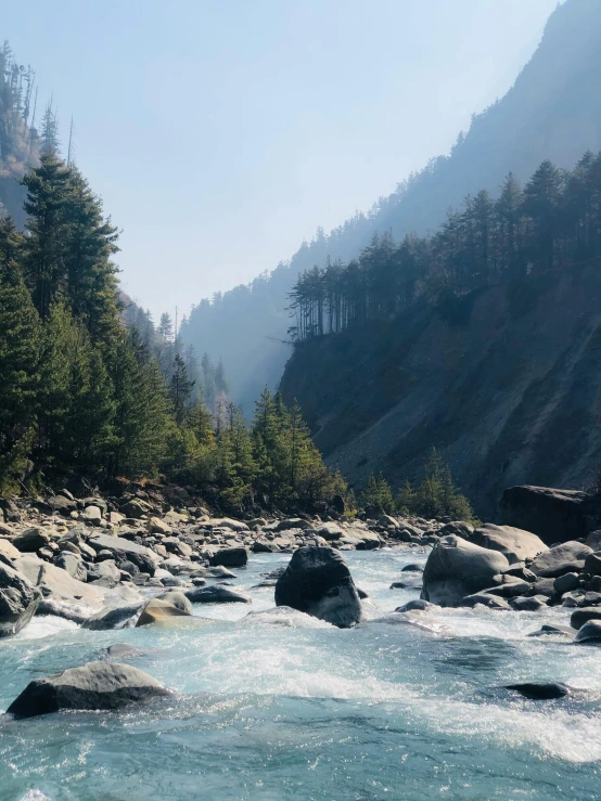 a river with rocks and rapids running beside a forest