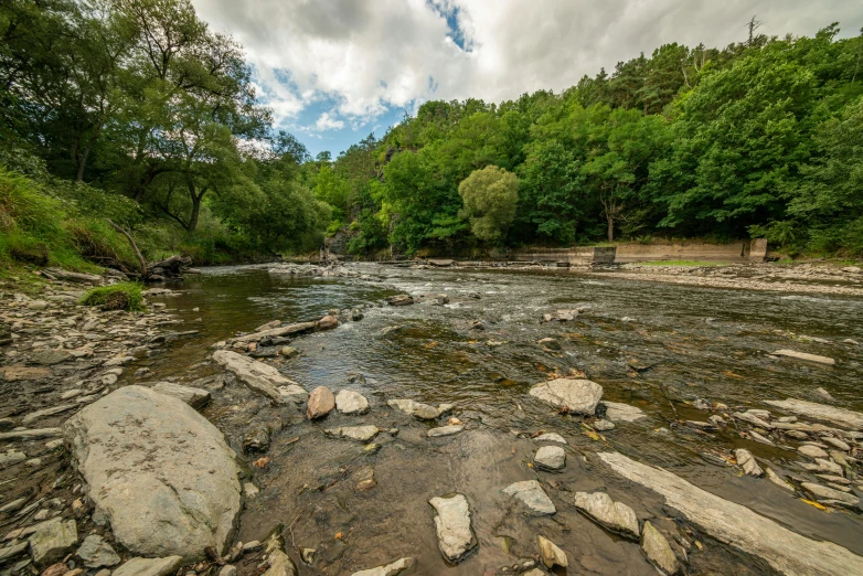 a stream with rocks and stones and trees in the background