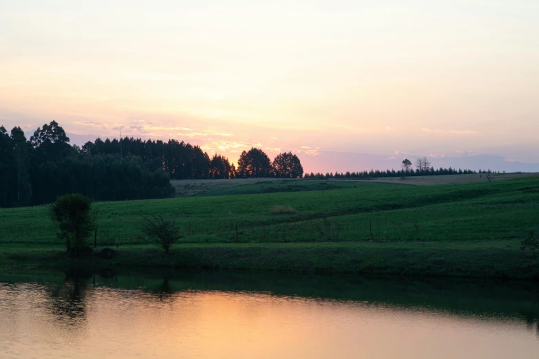 the sun setting behind trees on a green hill