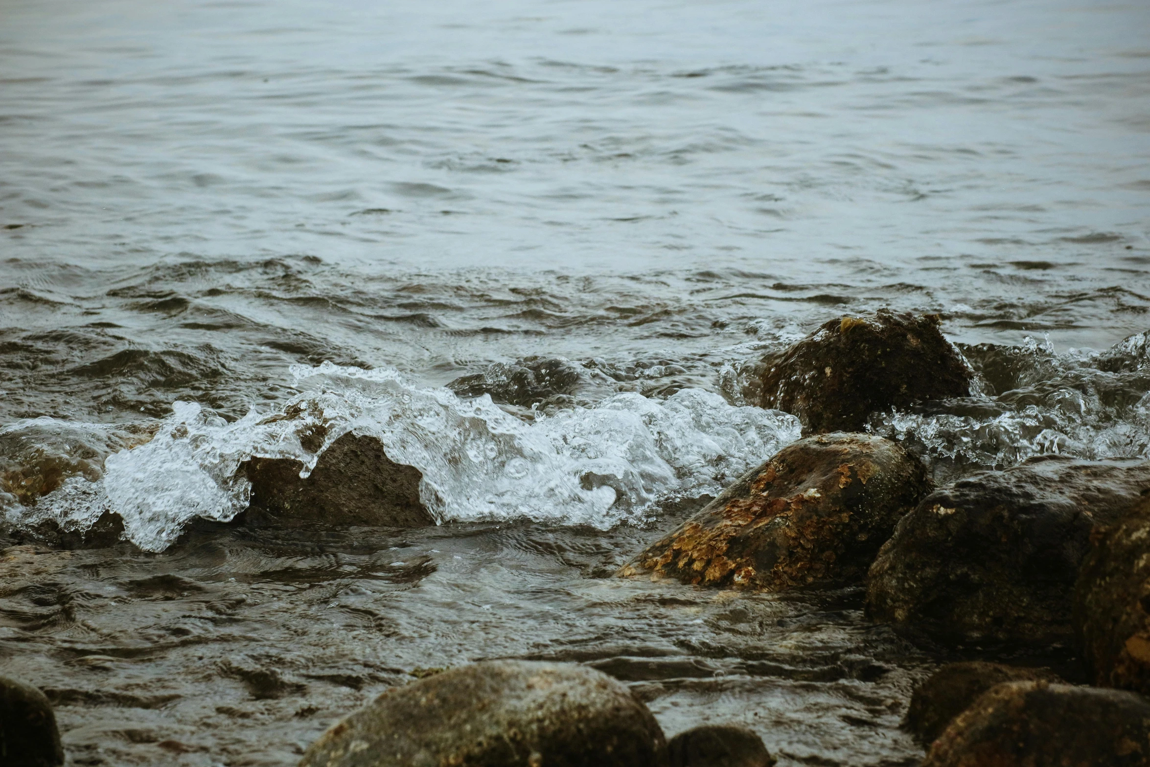 a body of water covered in lots of rocks