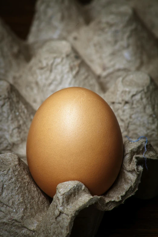 an egg sitting on top of paper next to rocks