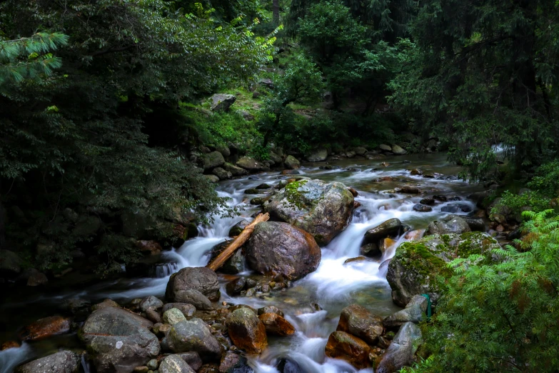 a creek with several small rapids that run through it