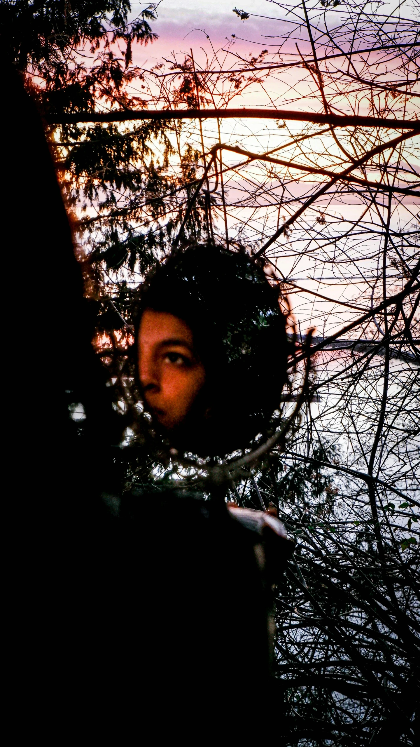 a person looking out into water through tree nches