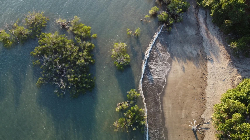 an aerial po of a sandy, sandy beach in a forested area