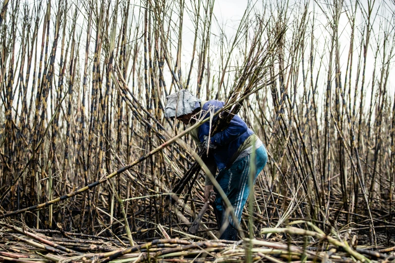 a person kneeling in the middle of some straw