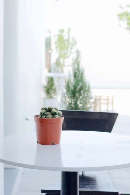 there is a table and chair with a potted plant on it