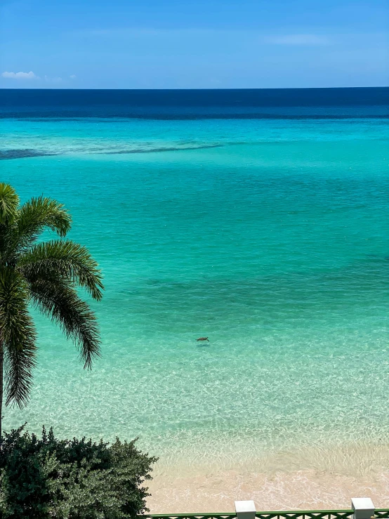 a beautiful beach is shown, but no one can see it