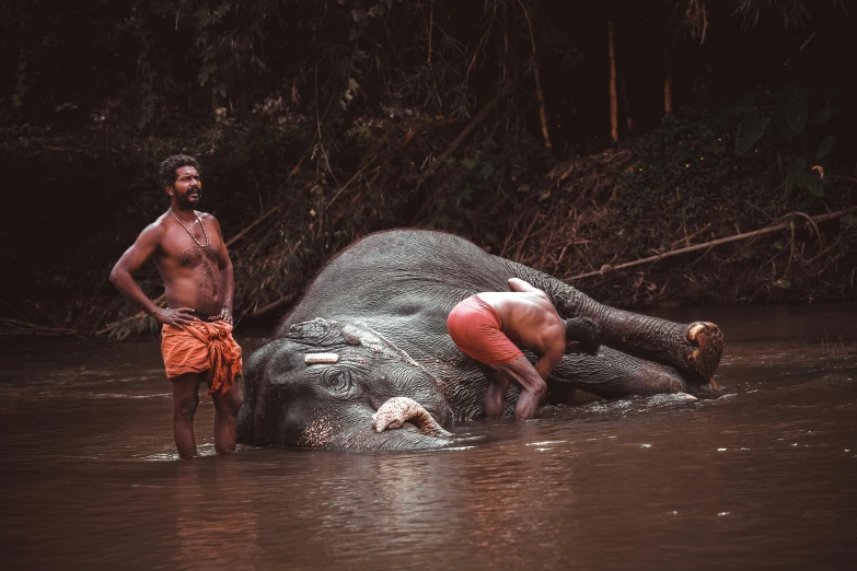 two men are standing in a river trying to bath an elephant