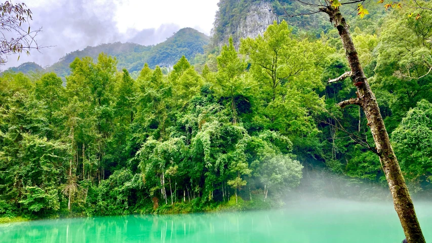 a body of blue colored water near trees