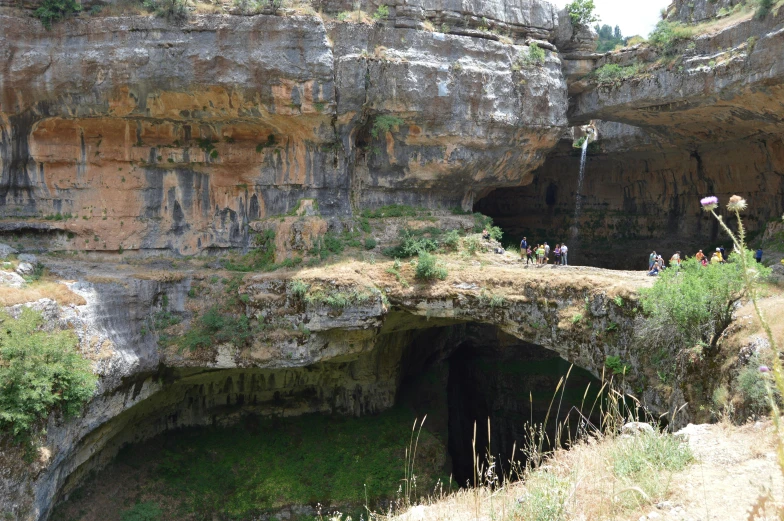 a cave with lots of water and some plants on it