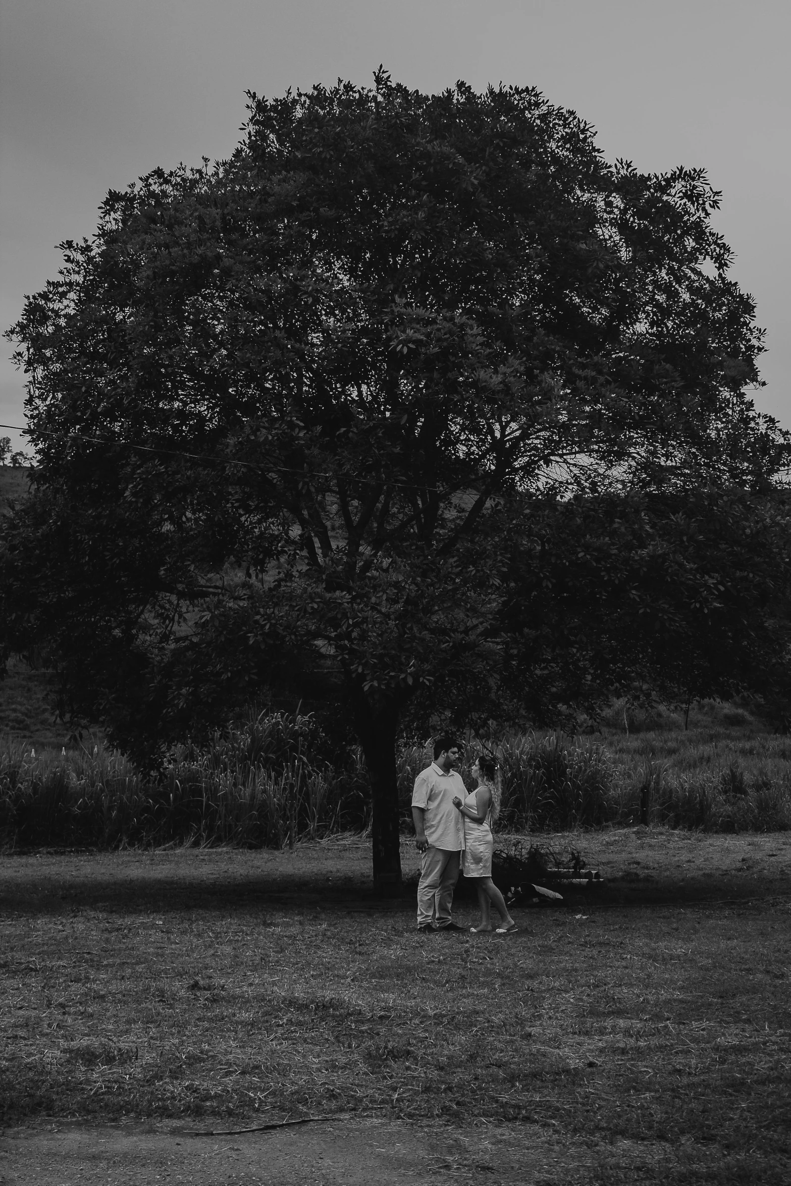 two people sit next to each other under a large tree