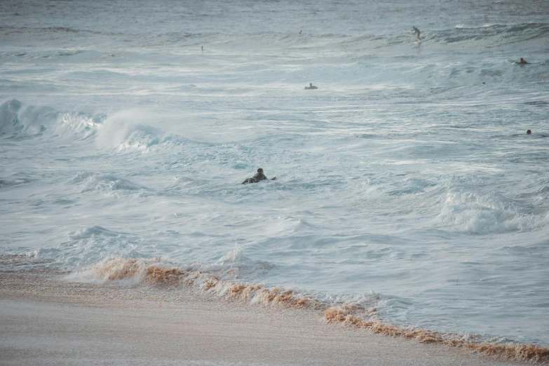 several people are swimming in the ocean waves