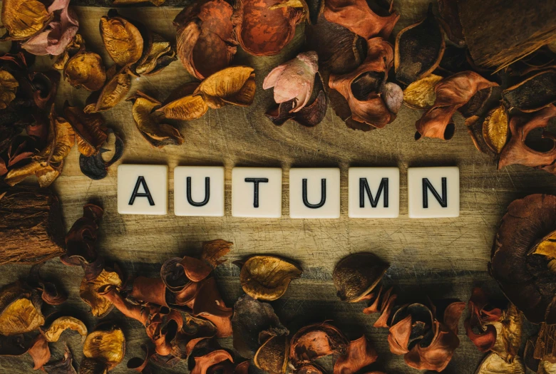 autumn spelled in small letters surrounded by dried and fallen leaves