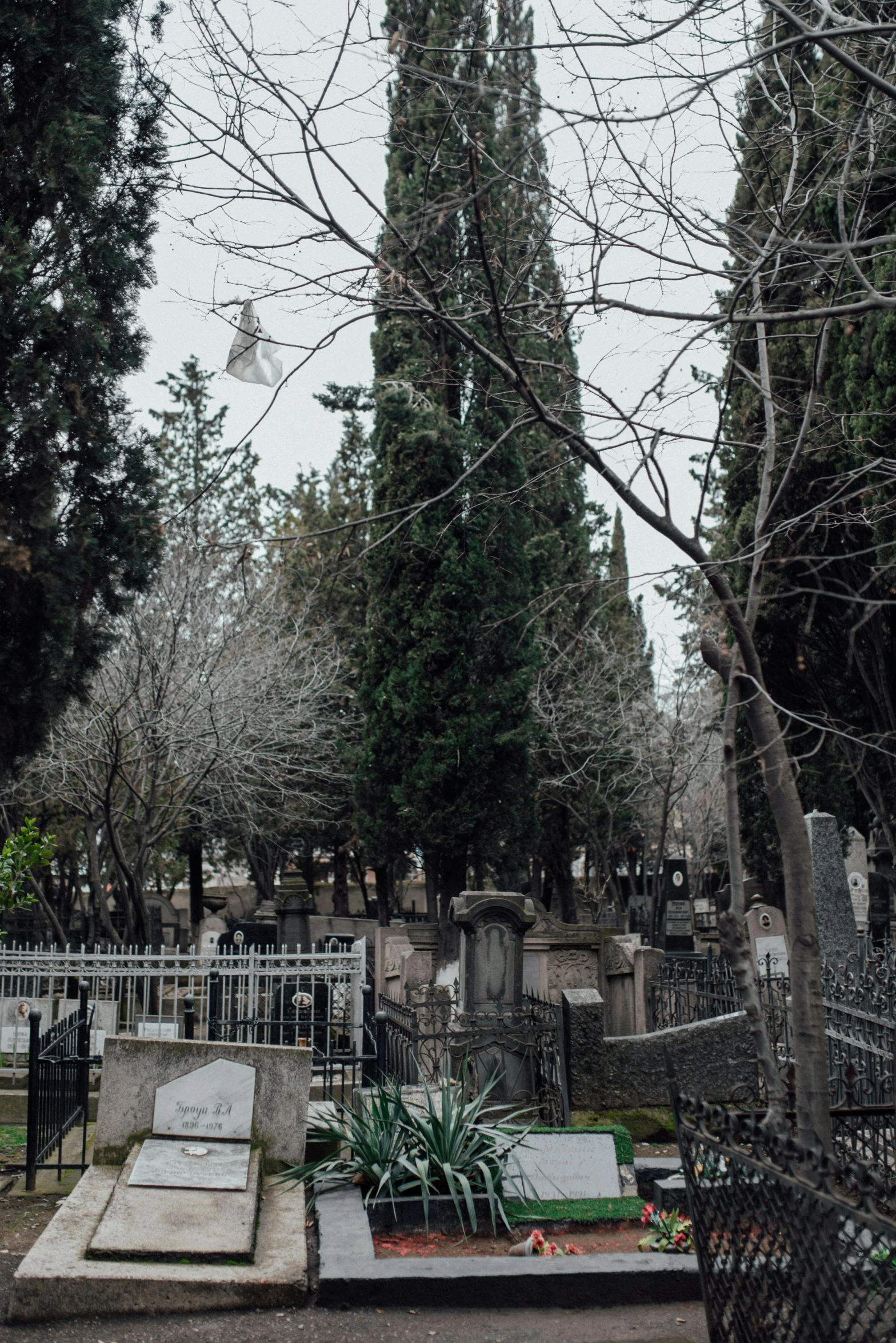 cemetery with trees around it and a cemetery on either side