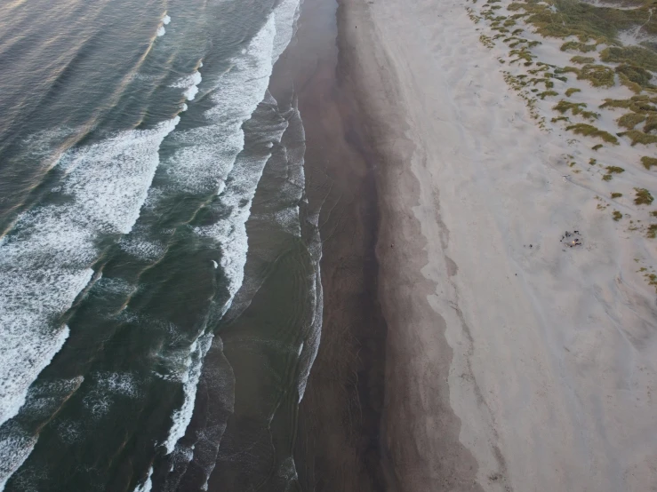 the aerial view of beach and a shoreline near water