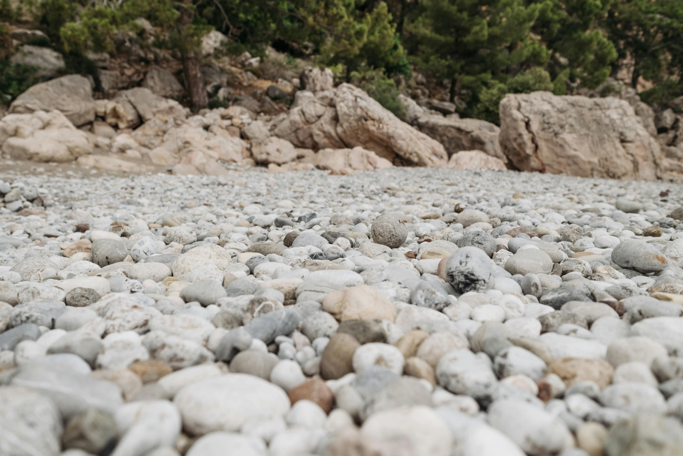 small rocks and gravel are surrounded by trees