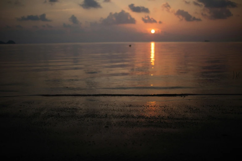 a beach that has the sun shining down on it