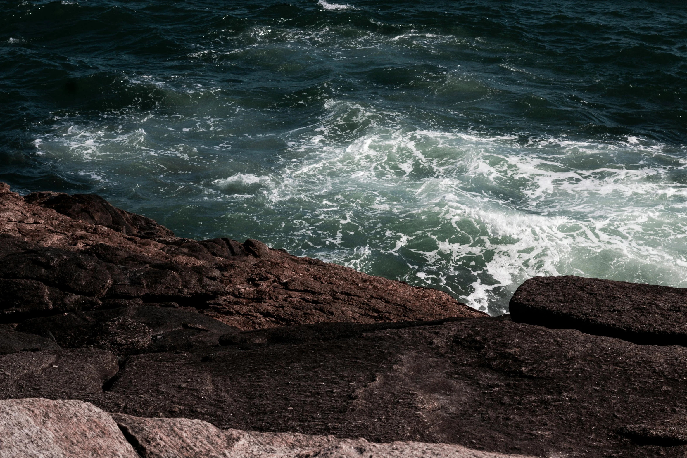 a red bird sitting on top of a rock next to the ocean