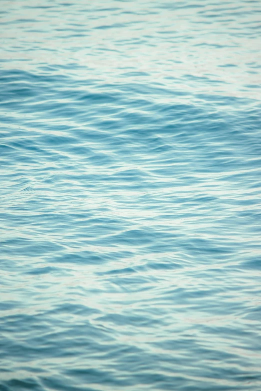 a seagull is flying over the ocean waves